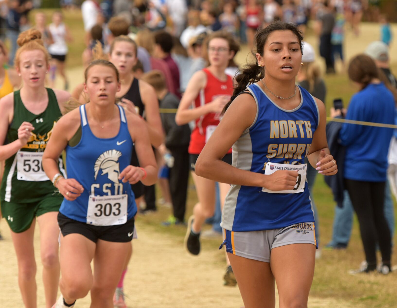 2A NCHSAA cross country championships